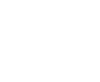 Twitter bird